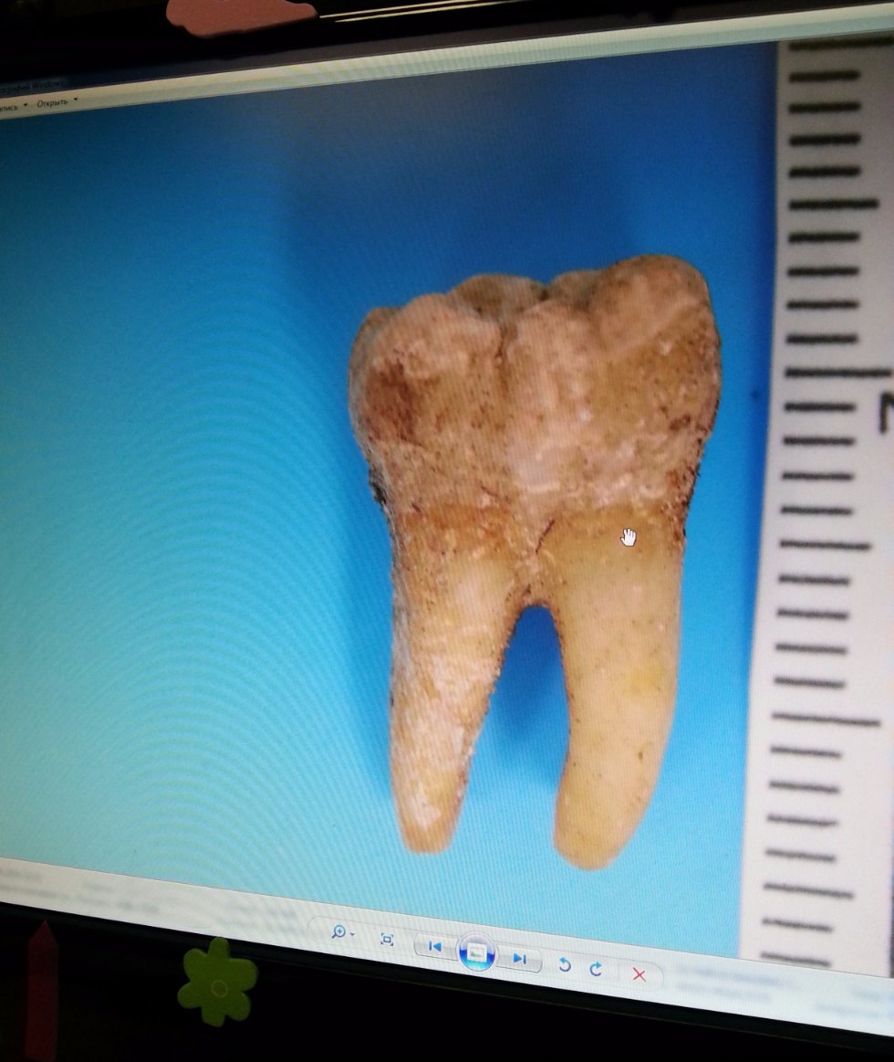 Галерея Галерея