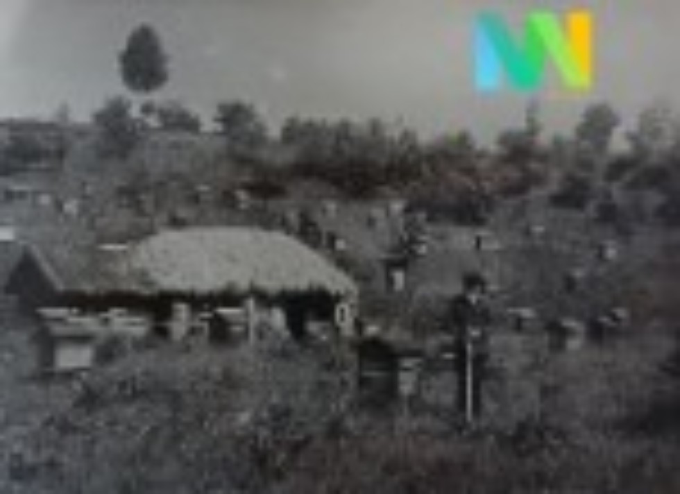 ��������������� ����� ������ ������� � ������������� ����� 