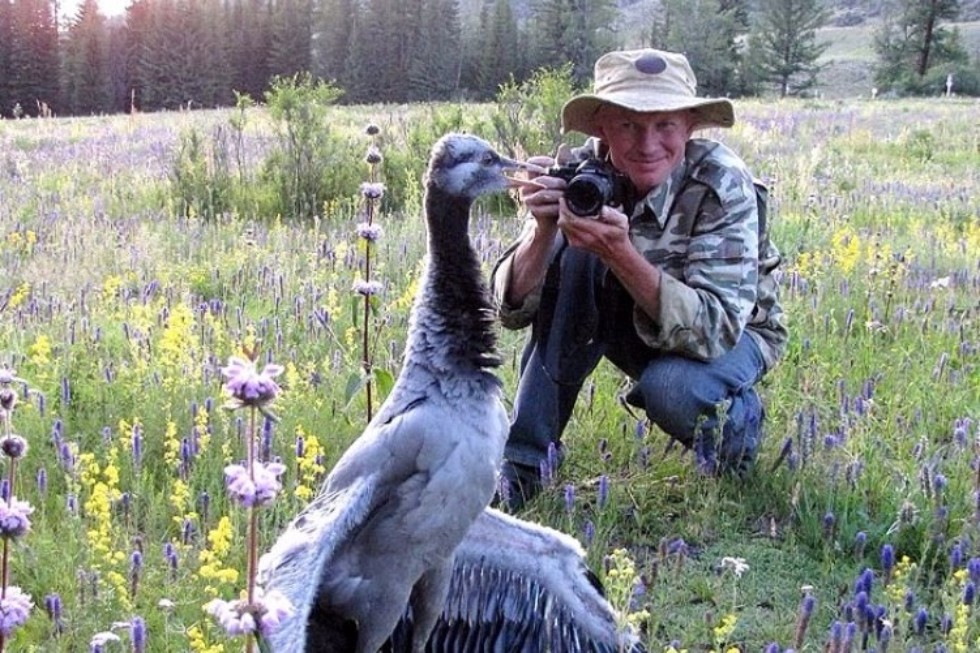 New sides of the birds' keeper New sides of the birds' keeper