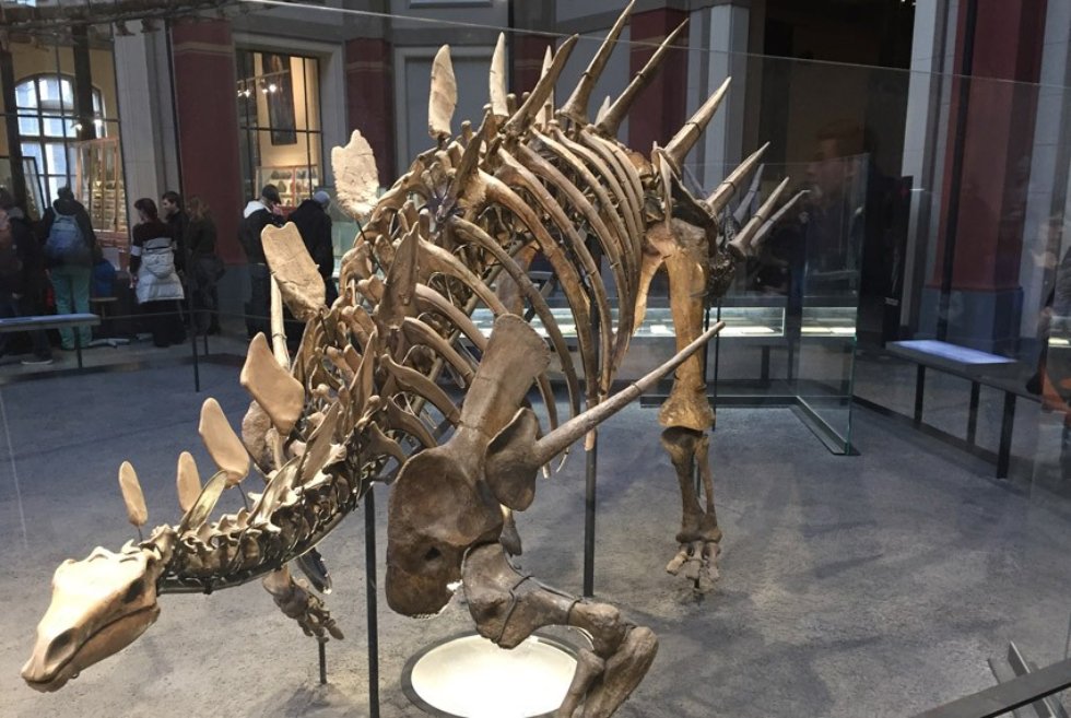 ������� ���������� � ��������� �������� ����������� �������� ����������� ������������