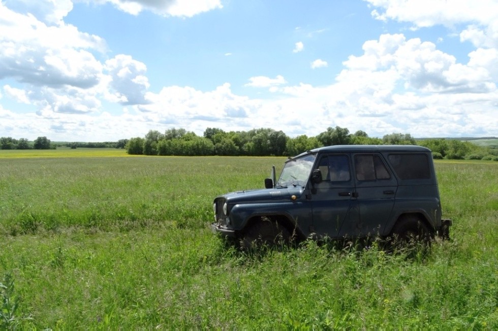 Scientist of Yelabuga Institute of KFU investigates birds from Tatarstan to Dagestan