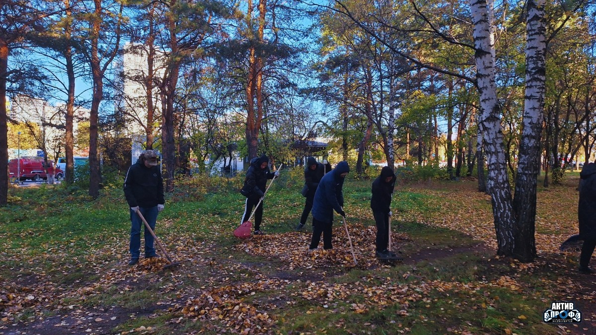 ���� ����� �� ������!