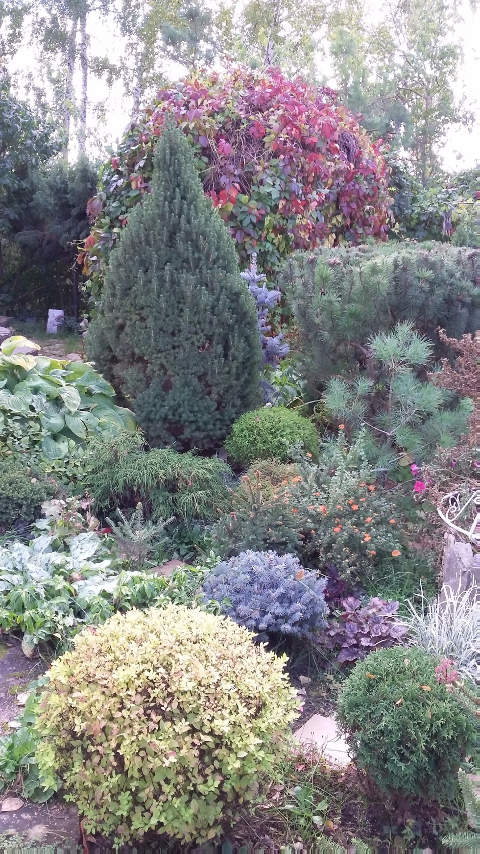 �����������