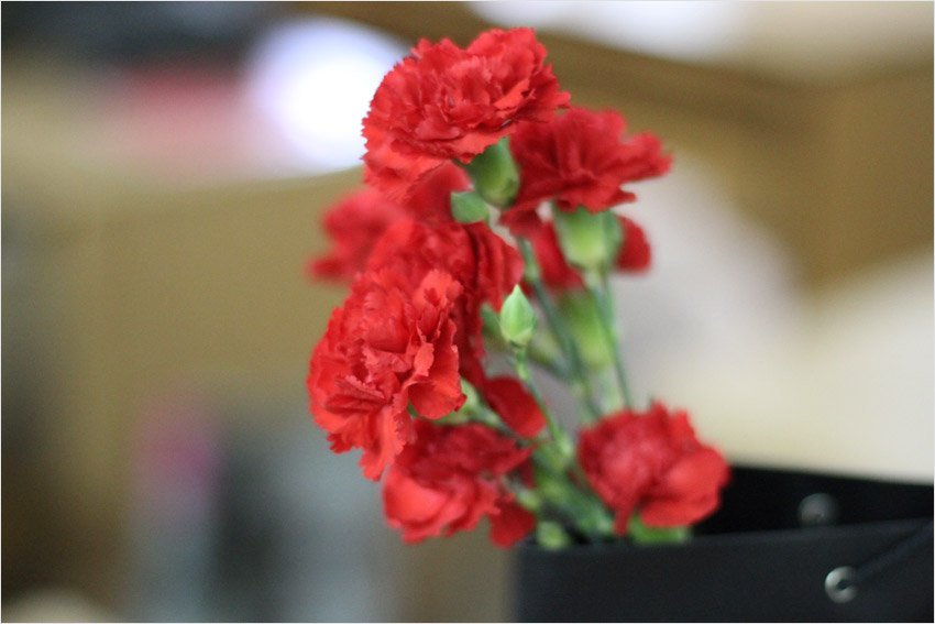 ветеран ветеран