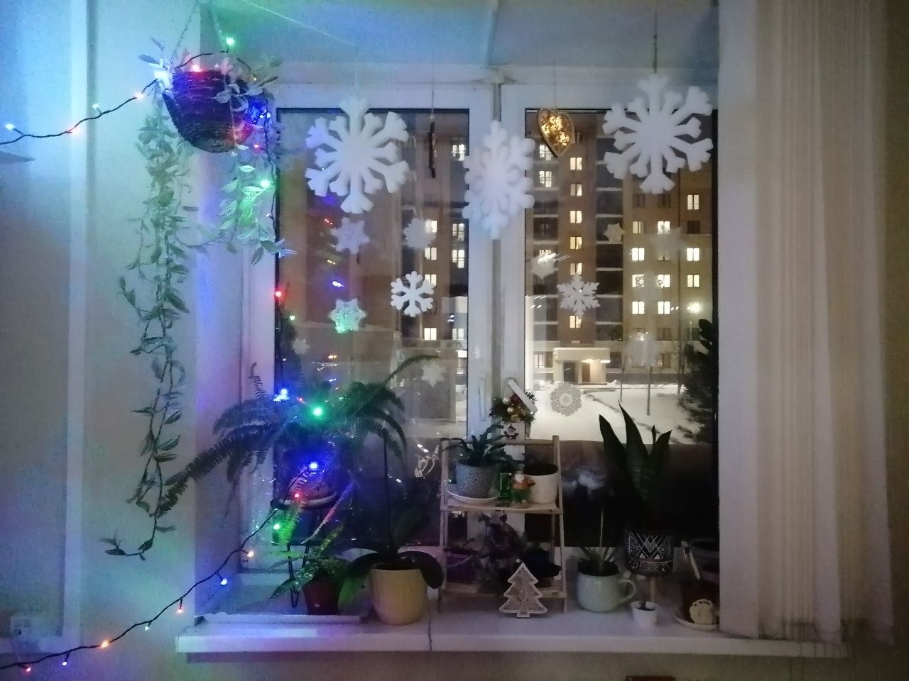 ����������� ������������ ��������� ��� ,����� ���, �����, ���������� ����, ���������