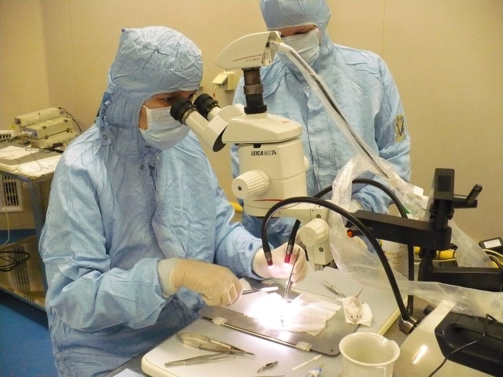 '� �������� ����� ������� ���, �� ������ �� ��� ����������� ���� � ���������'������ ������������ ���������