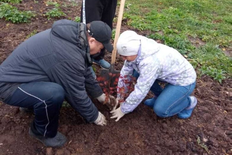 Саженцы в обмен на вторсырье Саженцы в обмен на вторсырье