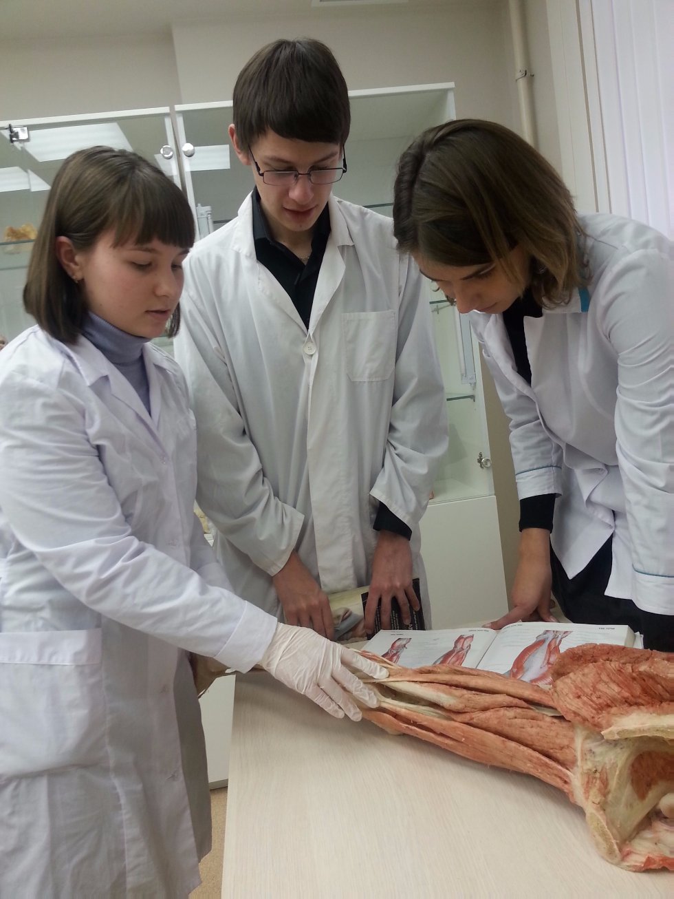 The museum of Morphology and the General Pathology Department The museum of Morphology and the General Pathology Department