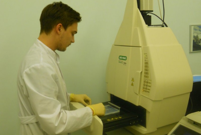 ������� ��������