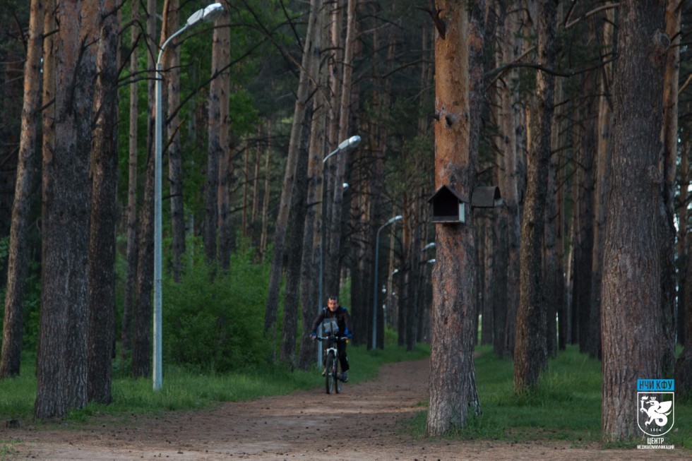 Набережночелнинский институт КФУ провёл первенство по велоориентированию и ориентированию