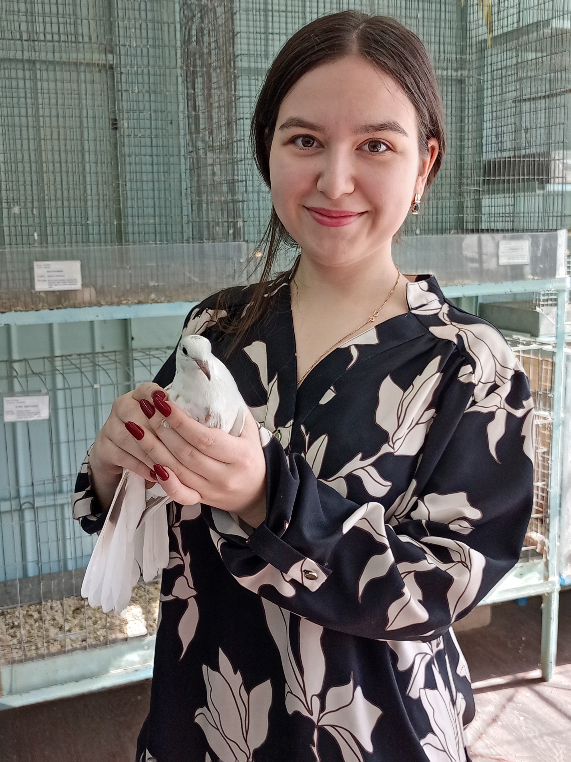 �������� ��� �������� �������-������������� �����