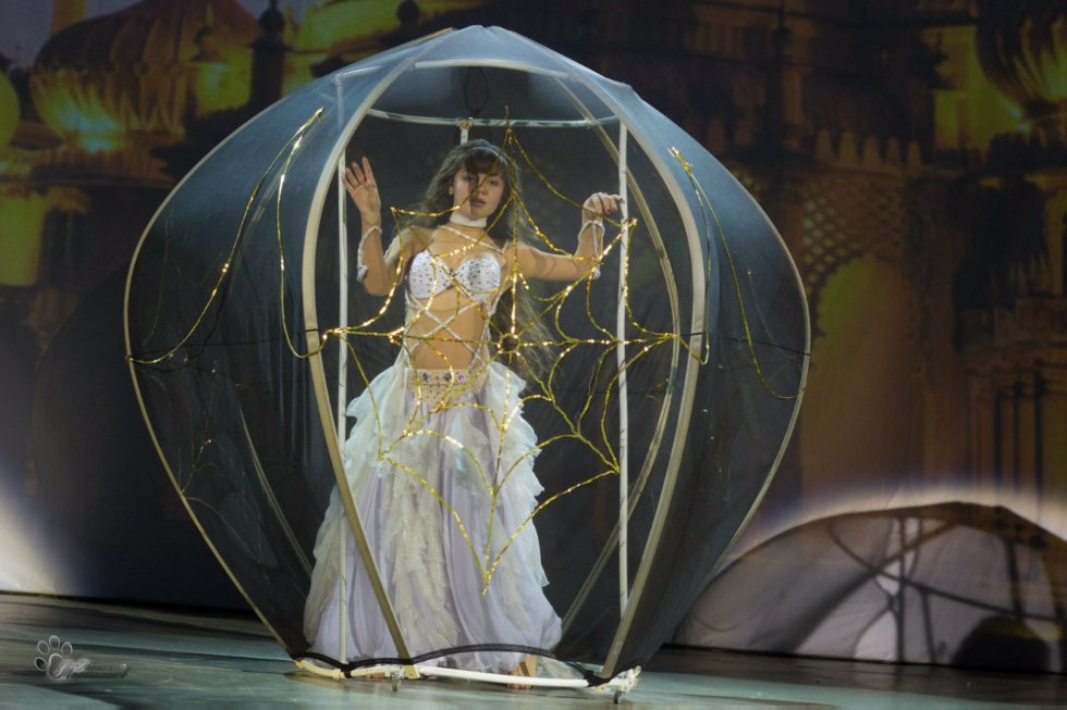 Фестиваль 'День Первокурсника 2014' близится к завершению, Институт физики и Юридический факультет показали свои конкурсные программы. Фестиваль 'День Первокурсника 2014' близится к завершению, Институт физики и Юридический факультет показали свои конкурсные программы.