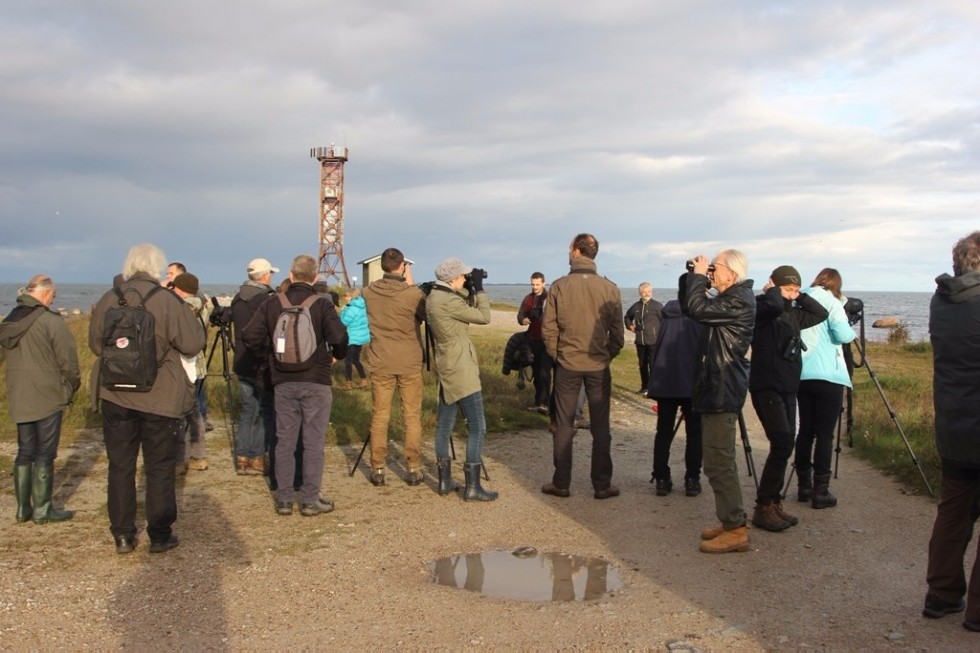 �� ����������� '�����-��������� 2017' � ������� �������� ������ ����������� ��������� ���