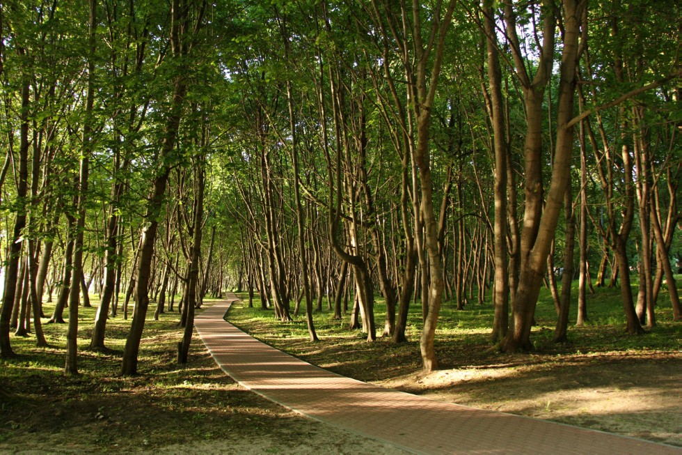 Представитель юрфака КФУ принял участие в международной научной конференции 'Миграционные проблемы в Европе и пути их решения' в Балтийском федеральном университете им. Иммануила Канта в Калининграде Представитель юрфака КФУ принял участие в международной научной конференции 'Миграционные проблемы в Европе и пути их решения' в Балтийском федеральном университете им. Иммануила Канта в Калининграде