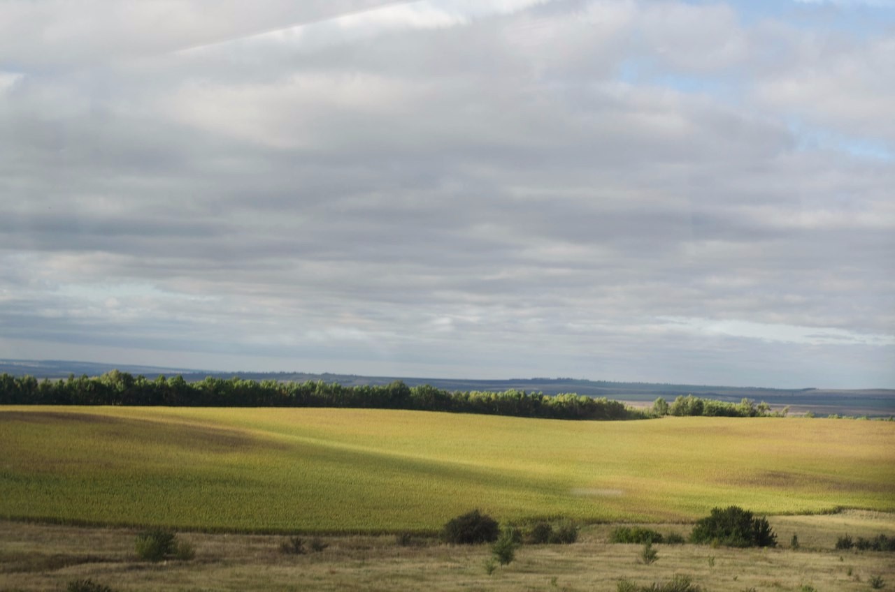 ����������� ������� �������� (20-28 �������� 2017 �.)