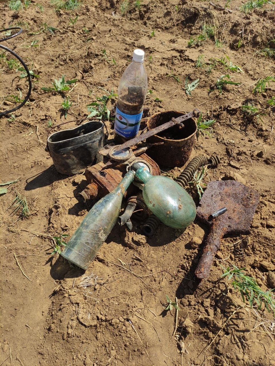 ����� ������ ������ ���� �����������