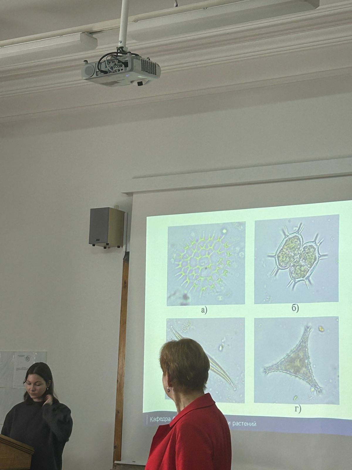 День науки на кафедре ботаники и физиологии растений в рамках Итоговой научно-образовательной конференции студентов КФУ 2024 День науки на кафедре ботаники и физиологии растений в рамках Итоговой научно-образовательной конференции студентов КФУ 2024