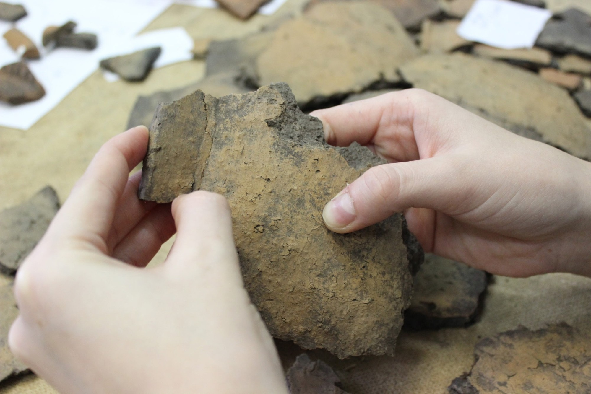 Камеральную обработку керамики проводят в Елабужском институте КФУ Камеральную обработку керамики проводят в Елабужском институте КФУ