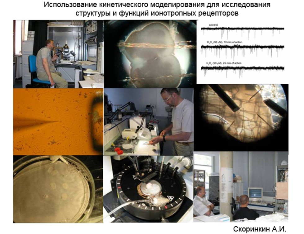 ������������ '����������� ������'