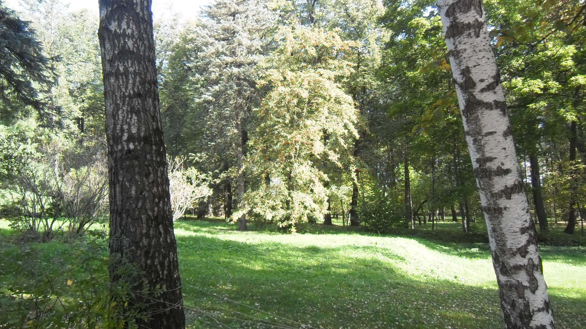 ��� �� �������� �������� ���� ��������