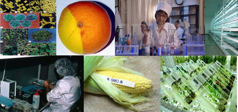 Учебный процесс Учебный процесс