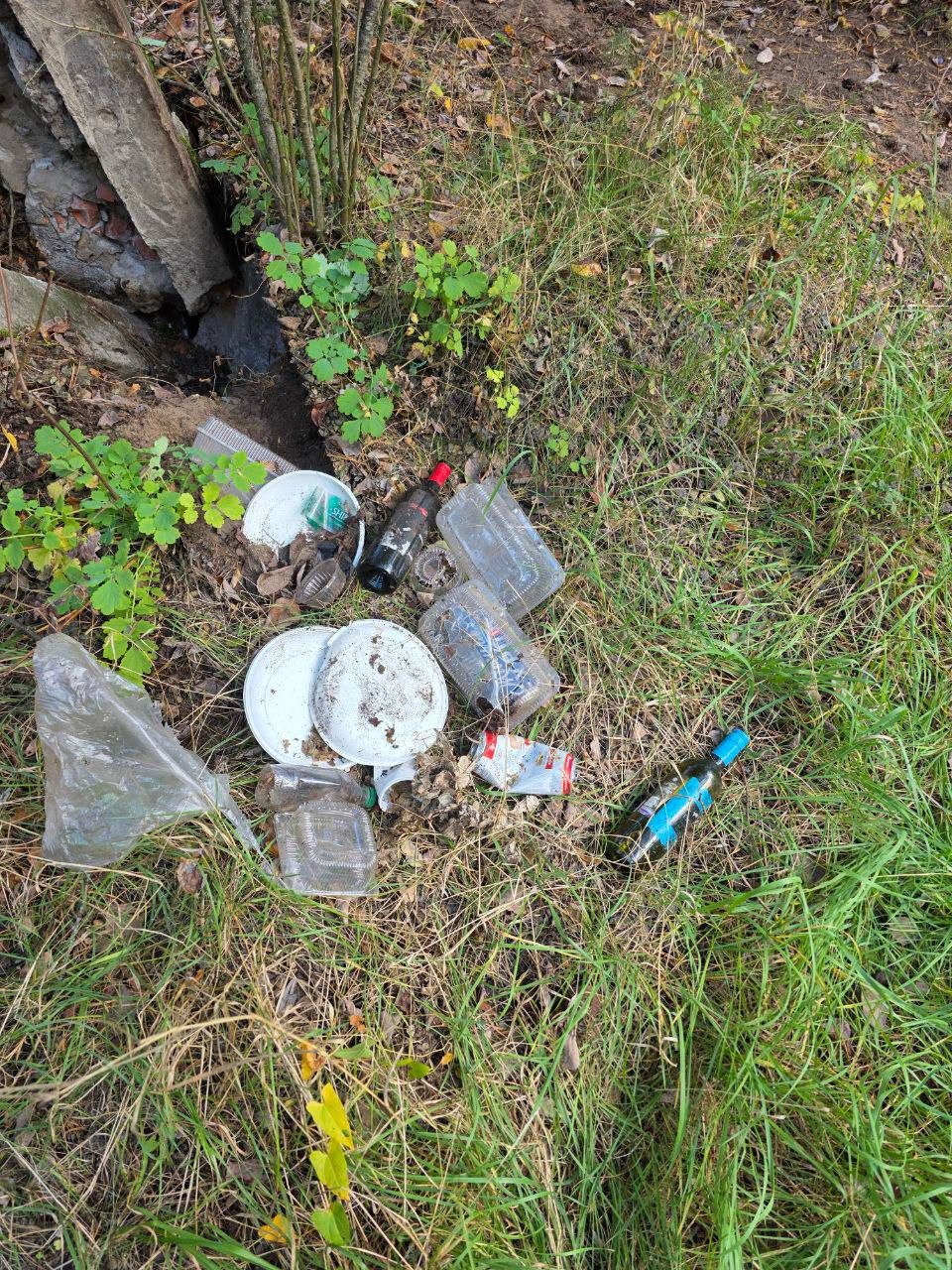 'Чистые игры' ? студенческий кубок чистоты 'Чистые игры' ? студенческий кубок чистоты