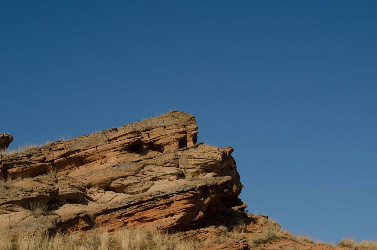 Ландшафтная учебная практика (20-28 сентября 2017 г.) Ландшафтная учебная практика (20-28 сентября 2017 г.)