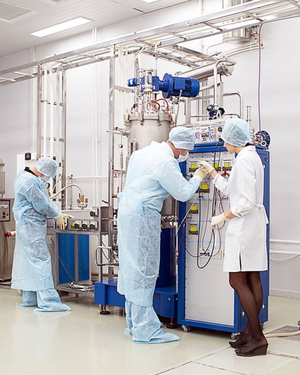 Эффекты сетевых программ Эффекты сетевых программ