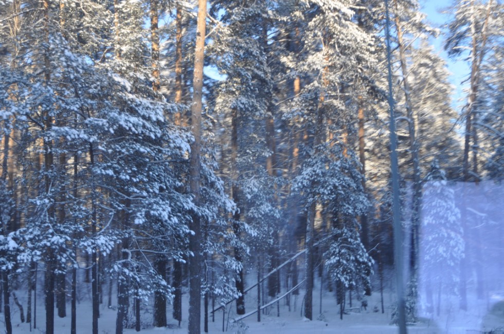 �������� ���������� � ����� ����� ������� ���������� ���� ����������� � ���������