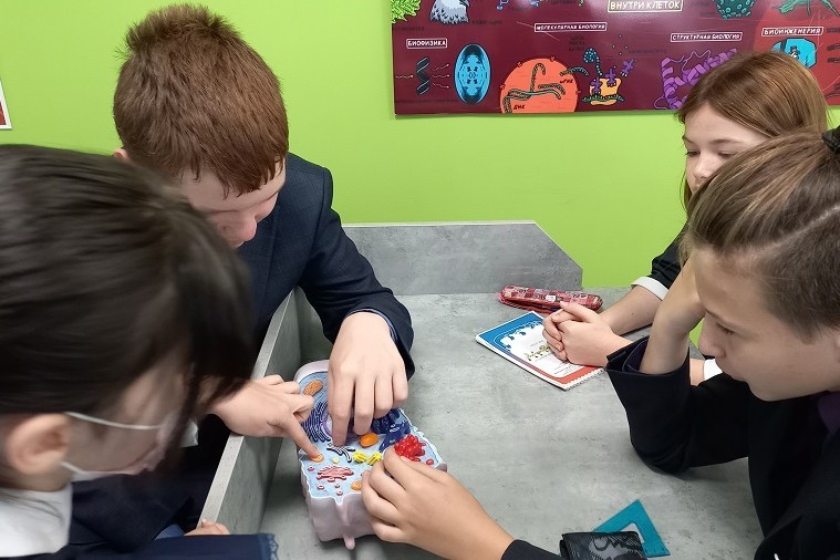 �������� �������� ���������� ����������� '���������������' ����� � ���������� �� ��������