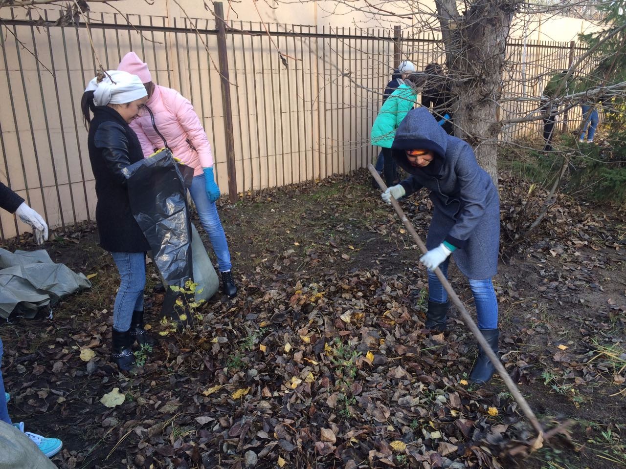 Ө�ә�ә �������� ү�� ��������