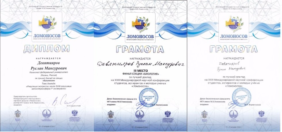 Аспирант Руслан Девятияров стал призереом XII Международной научной конференции студентов, магистрантов и молодых ученых 'Ломоносов-2016' Аспирант Руслан Девятияров стал призереом XII Международной научной конференции студентов, магистрантов и молодых ученых 'Ломоносов-2016'