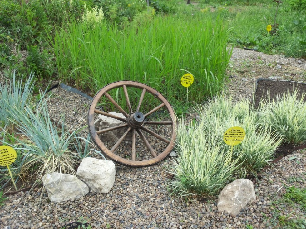 Экскурсии в ботаническом саду Экскурсии в ботаническом саду