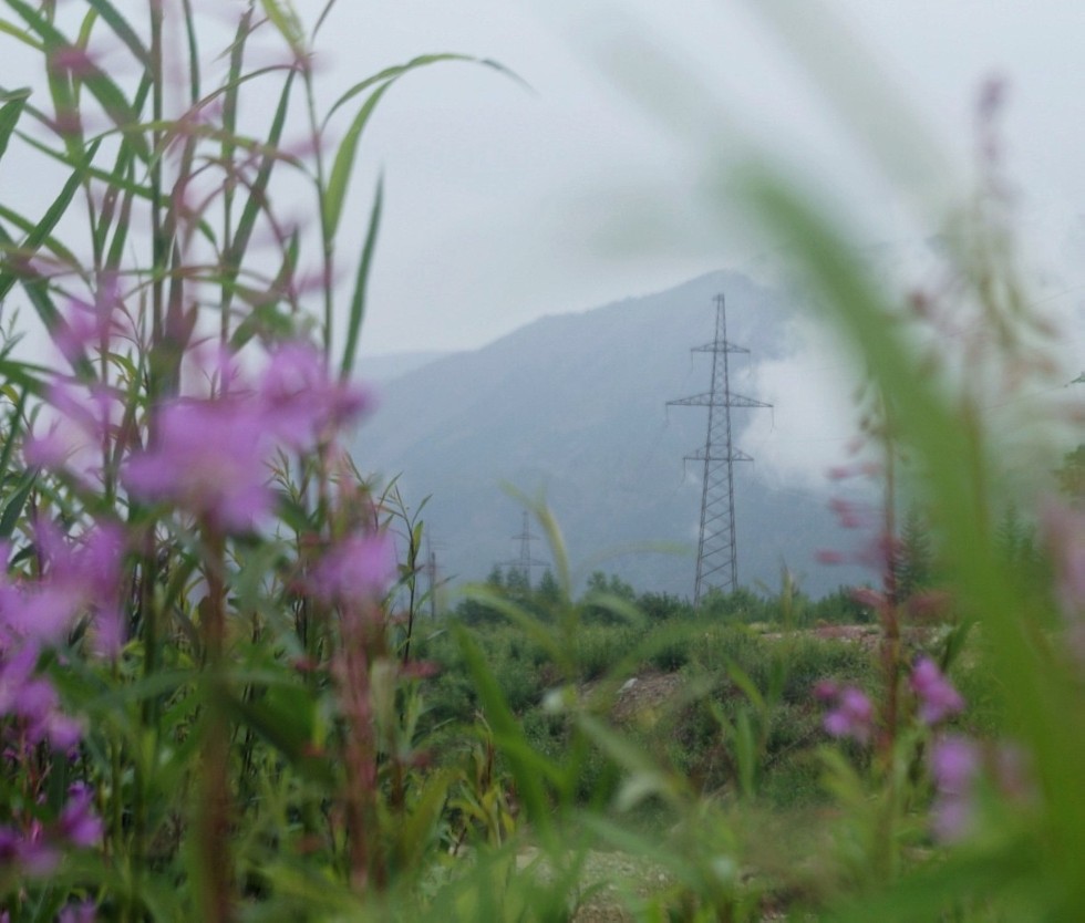 ��������� �����-������ ��������� ��������������� �������� � �������� ���������� ����� �������� ����� ������.