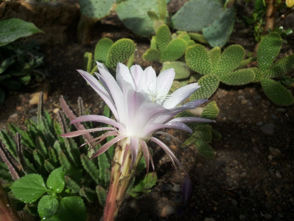 ������������ ���