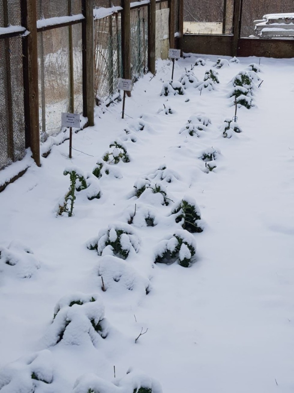 ������� ���� ���������� �� ���������� ���������� ��������� �������� ������ ��������� ������� � ������� ��������