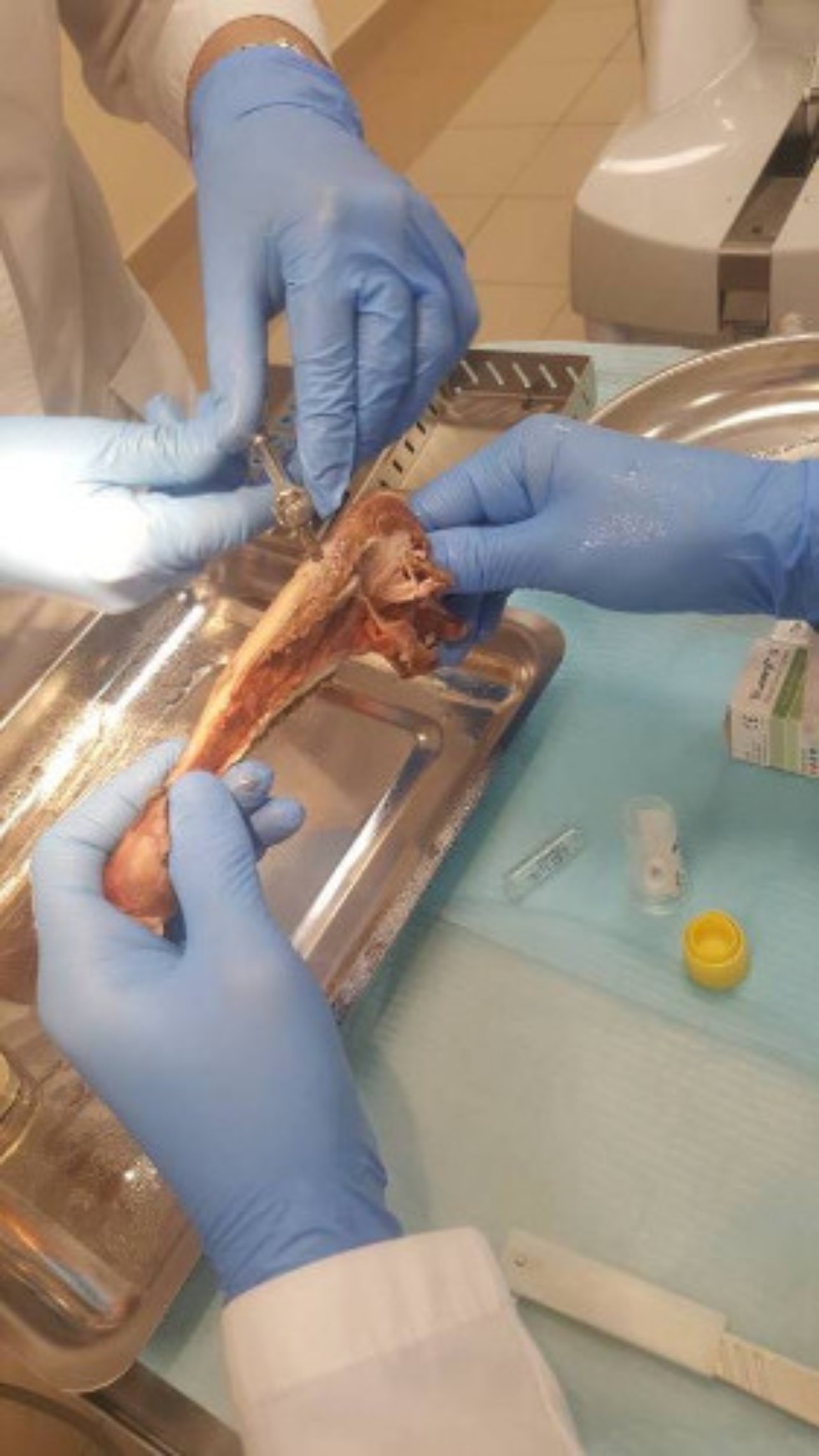 Курсы 'Дентальная имплантология (НМО)', прошедшие с 15 по 22 ноября 2017 г. Курсы 'Дентальная имплантология (НМО)', прошедшие с 15 по 22 ноября 2017 г.