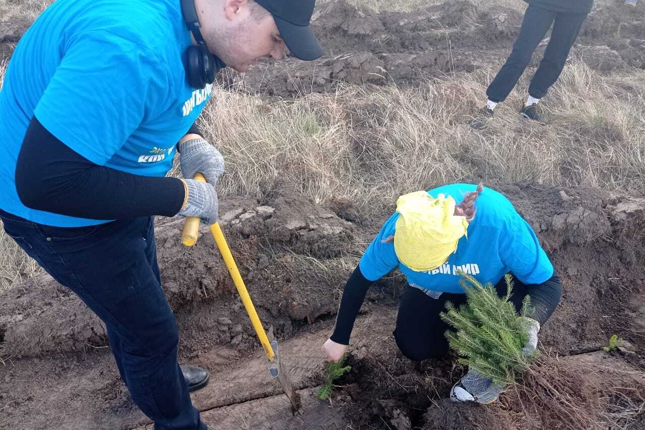 Эковолонтеры Елабужского института КФУ приняли участие в международной акции посадки деревьев 'Сад Памяти' Эковолонтеры Елабужского института КФУ приняли участие в международной акции посадки деревьев 'Сад Памяти'