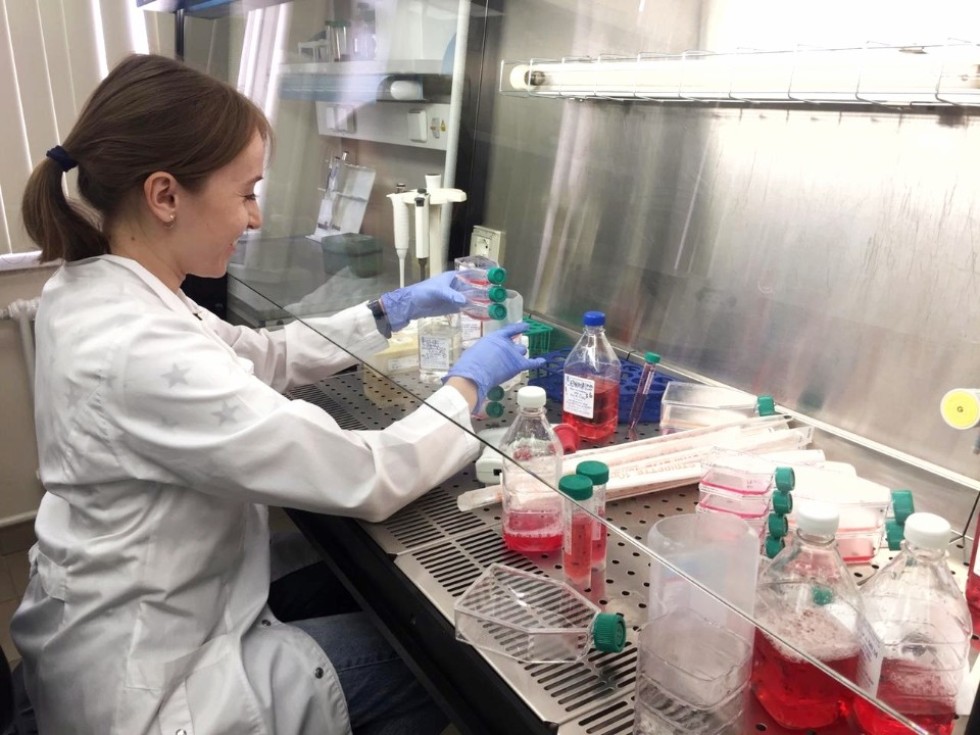 Отчеты НИР Отчеты НИР