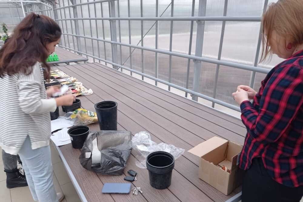 Заседание кружка Заседание кружка