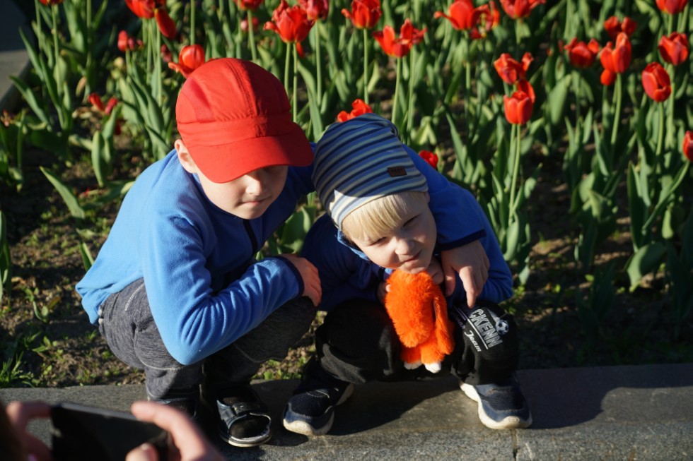 �������� ���������-����������� ���� � �������� ������������ ������ ������� � ������� ����� ������-����������� ������� 'PRO����� � ���'