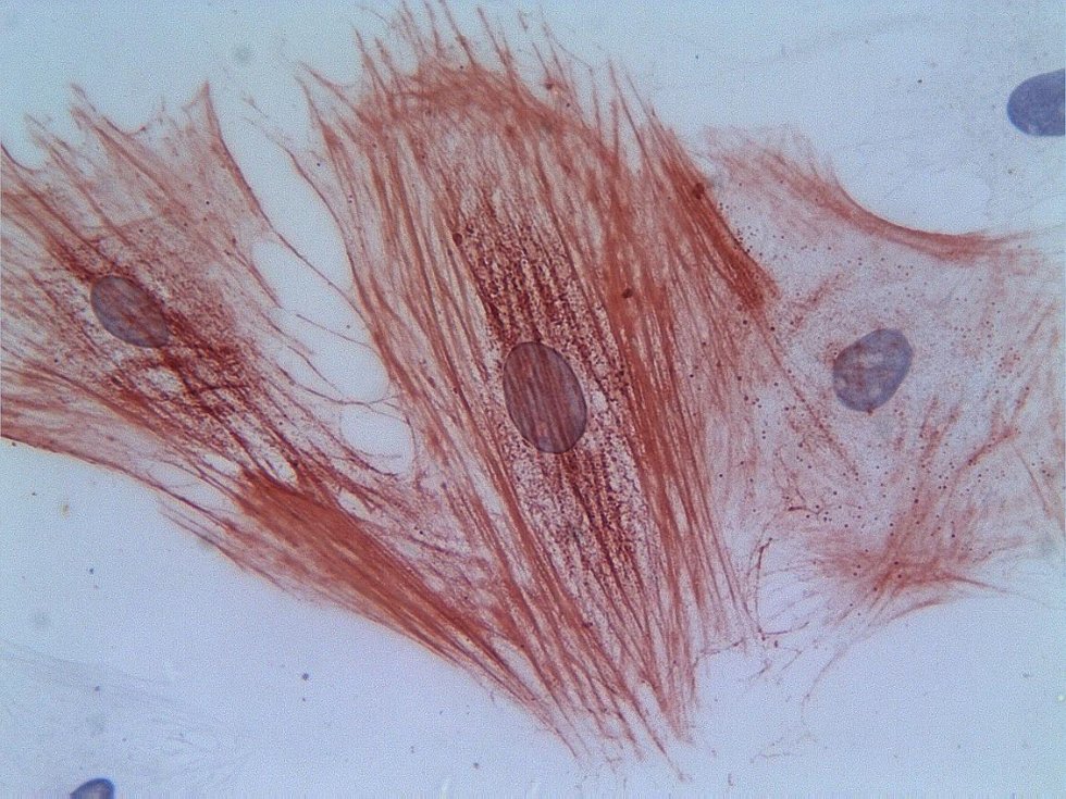 ����� �������������� �����������