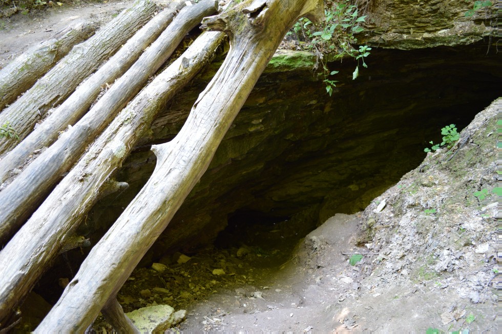 ������-����������