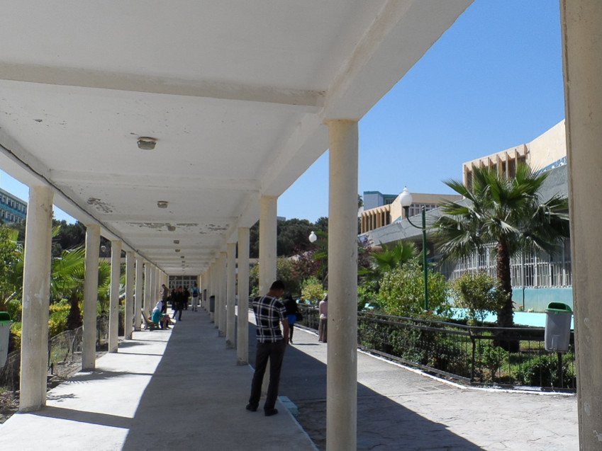 Official Visit to Algeria