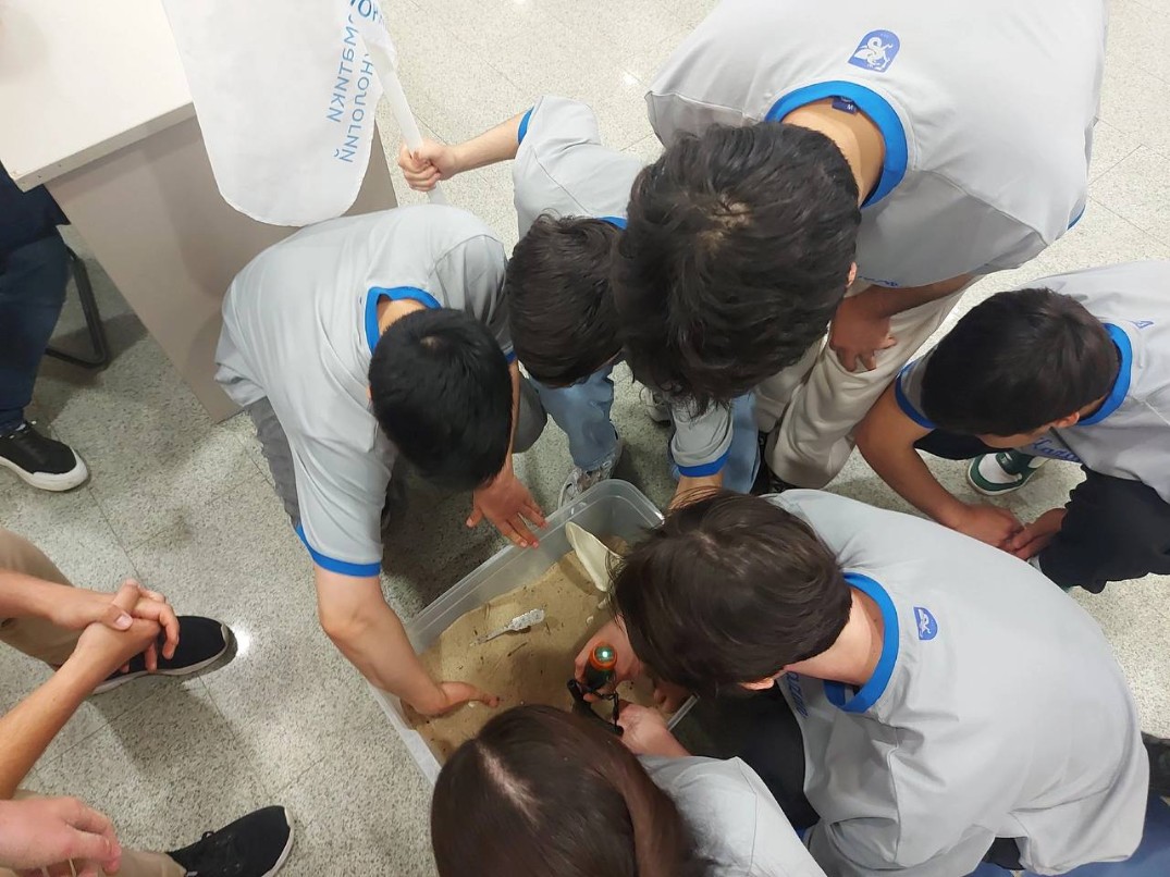 ����������� �������� ������ ����������� � �������� ������: ����� ����� � ���