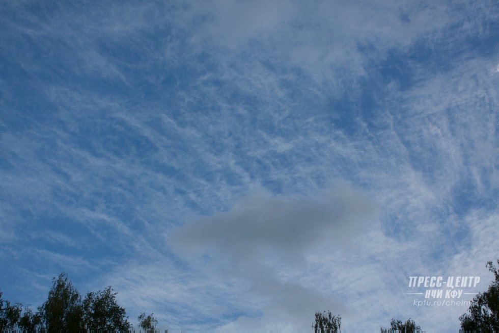 ����������� ����������� ����� � '����������'