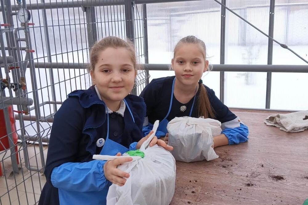 Заседание кружка Заседание кружка