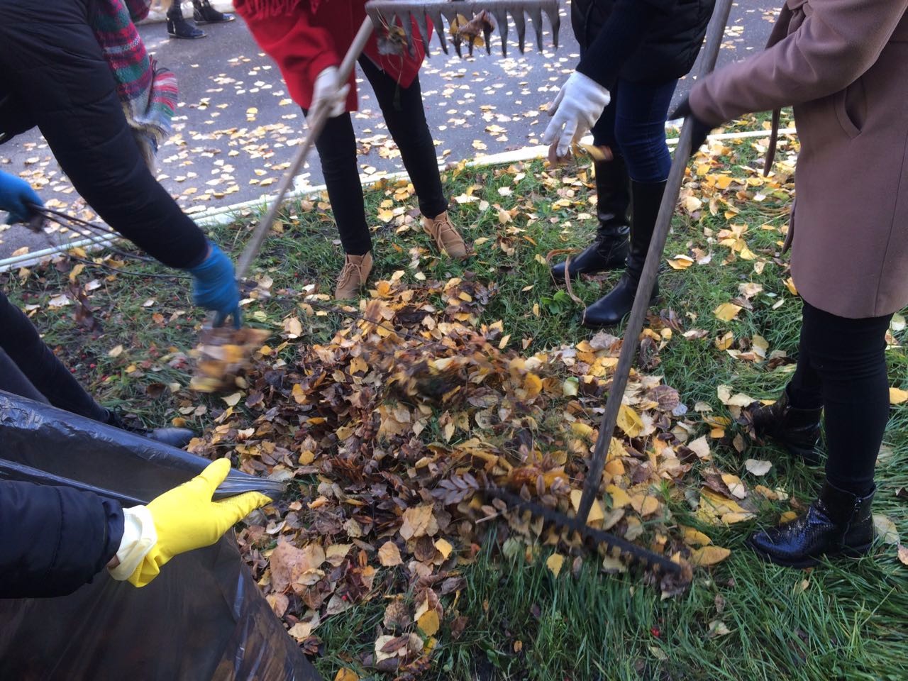 Ө�ә�ә �������� ү�� ��������