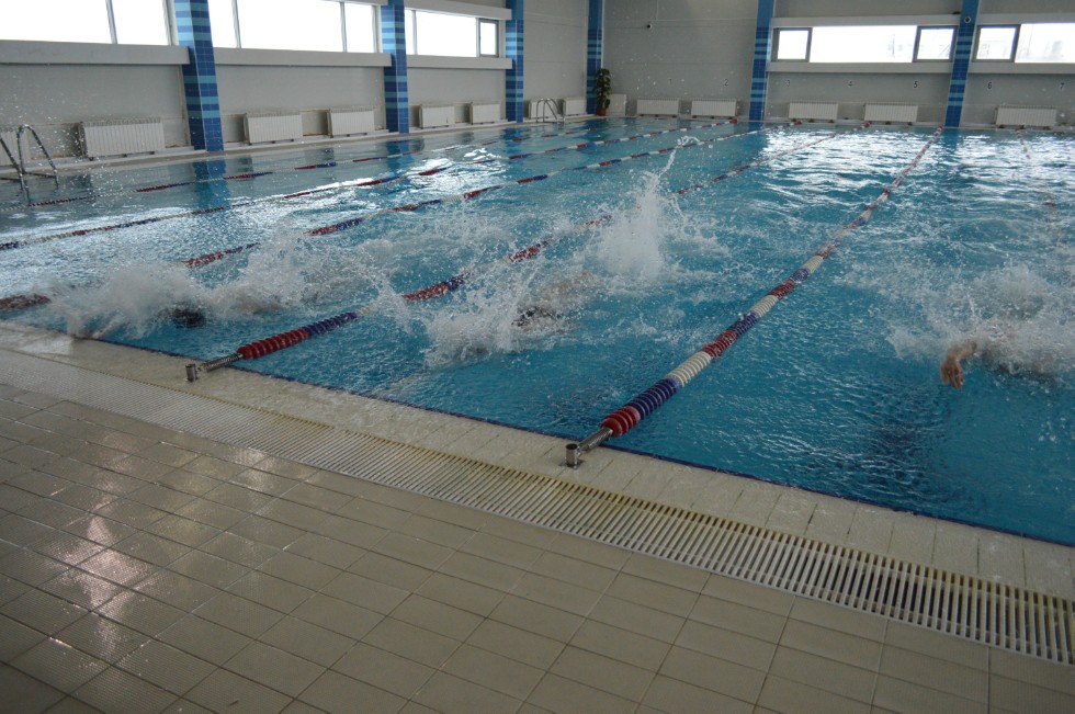 � �������� ���� - �������� ���