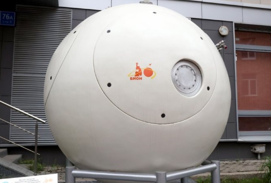 Ученые Институтa математики и механики им. Н.И. Лобачевского ? участники проекта 'Бион-М' № 2 Ученые Институтa математики и механики им. Н.И. Лобачевского ? участники проекта 'Бион-М' № 2